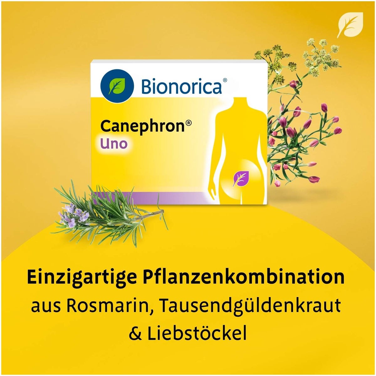 Canephron Uno 30 Überzogene Tabletten