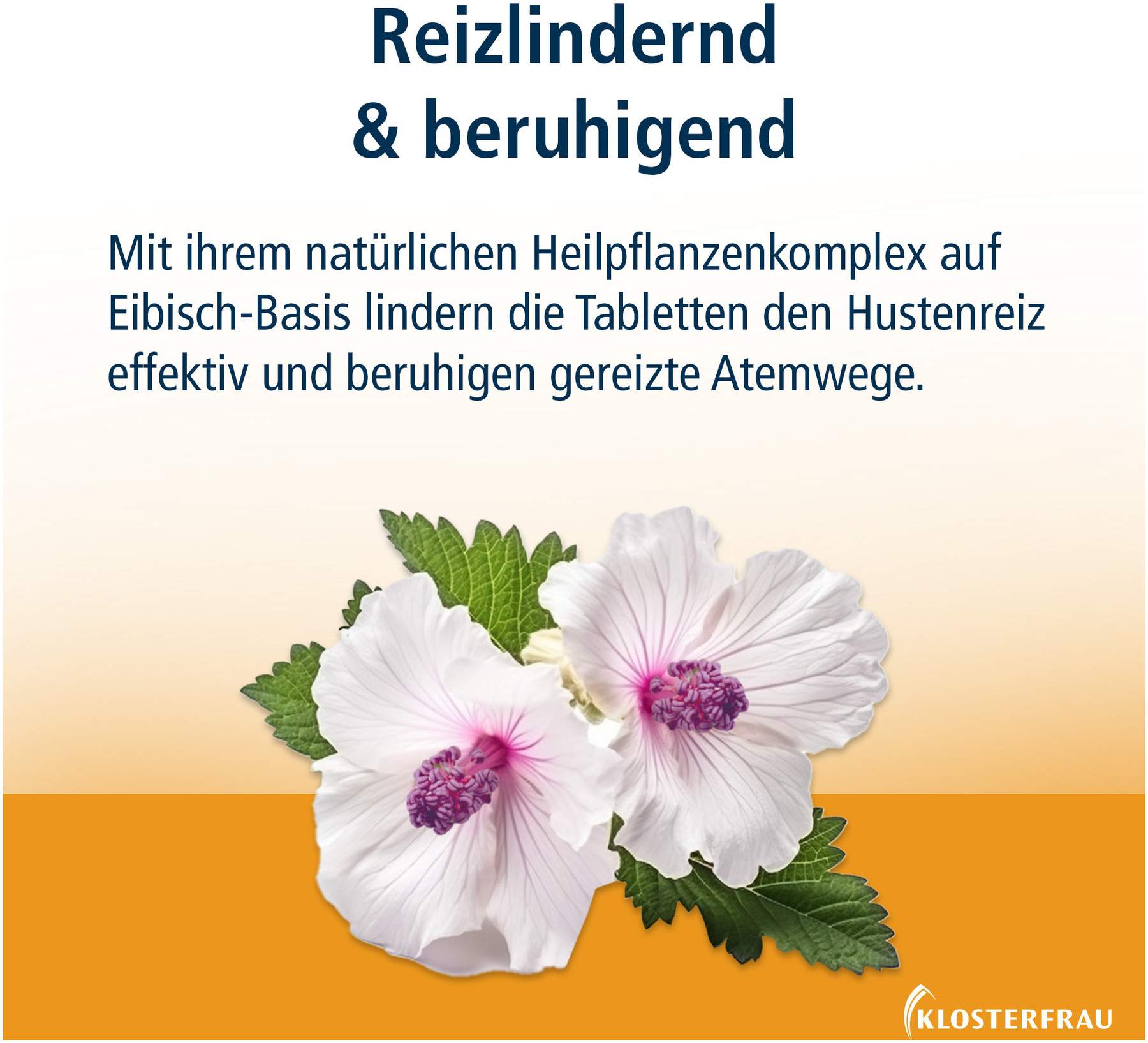 Klosterfrau Reizhusten Lutschtabletten 24 Stück