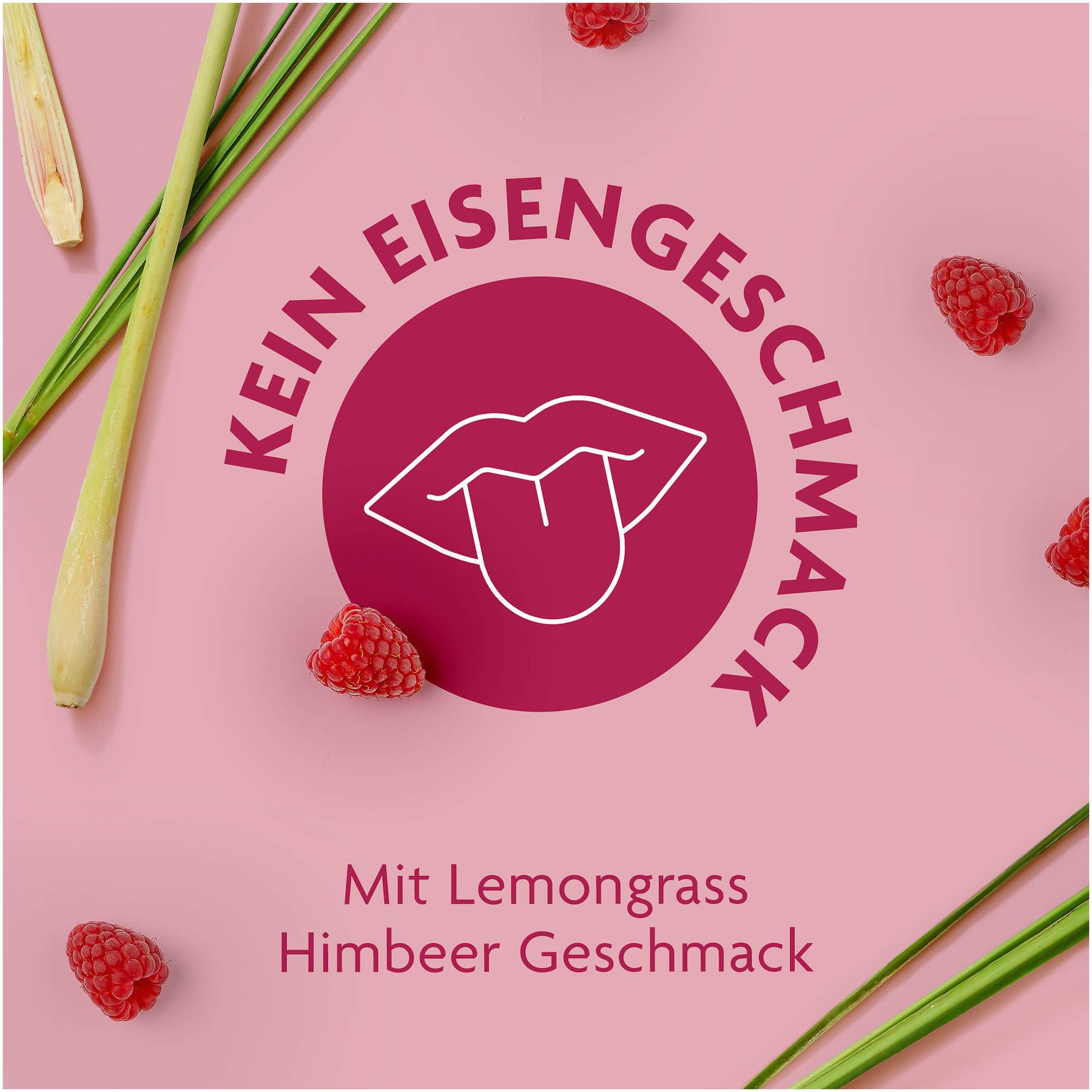 Floradix Eisen Sticks 20 Stück