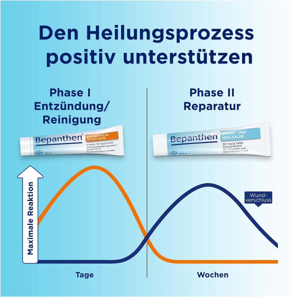Bepanthen Wund und Heilsalbe 100 g + Antiseptische Wundcreme 20 g
