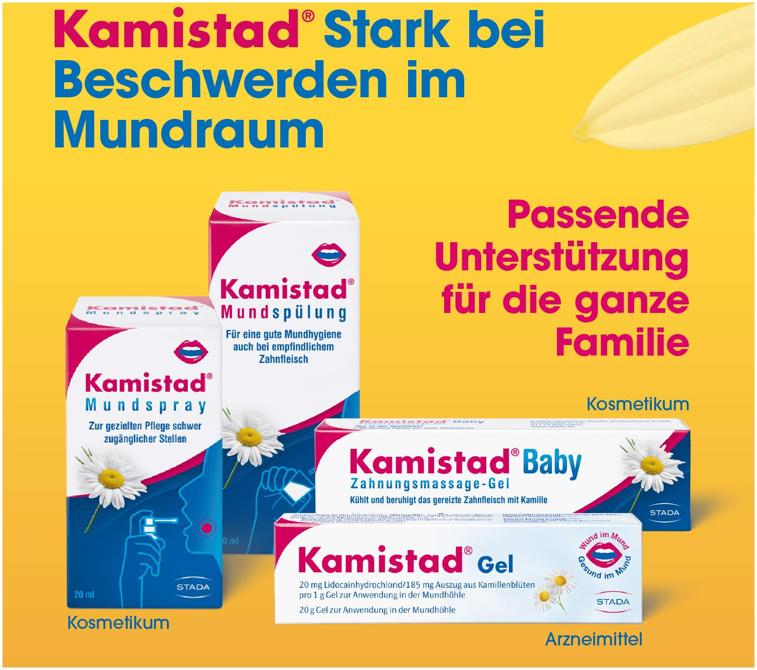 Kamistad Mundspray 20 ml