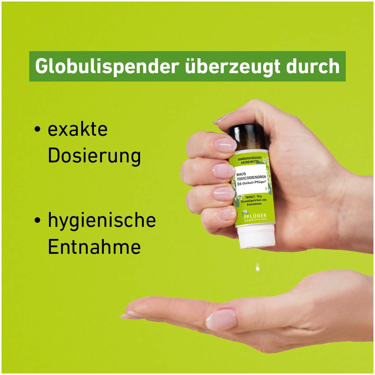 Rhus Toxicodendron D 12 Globuli Pflüger Globulispender 10 g