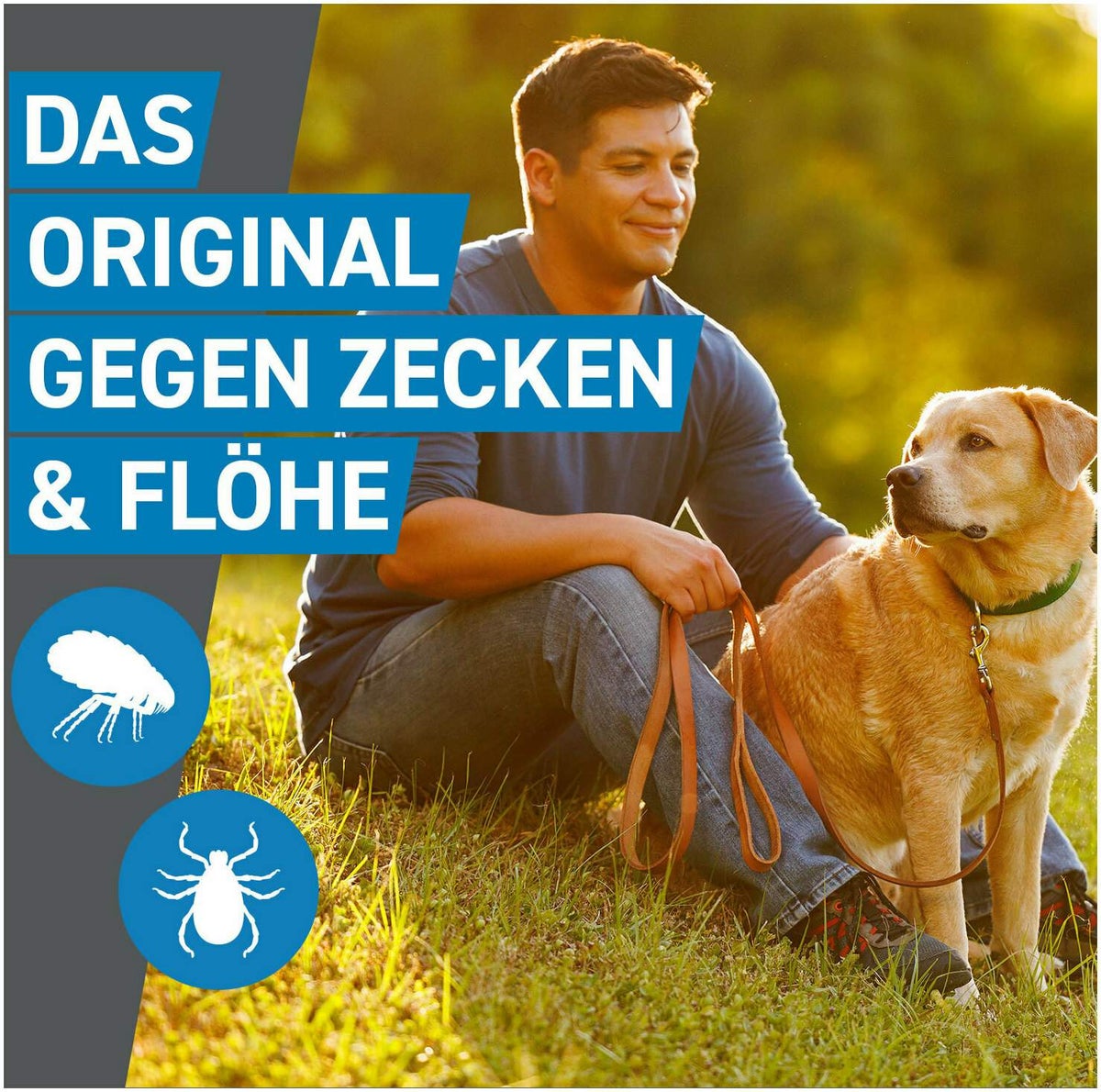 Frontline Spot On Hund M 10-20 kg 6 Pipetten