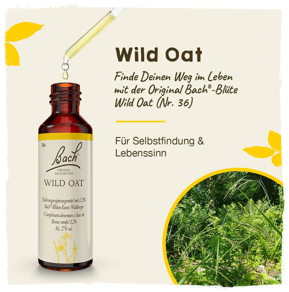 Bachblüten Wild Oat 20 ml Tropfen