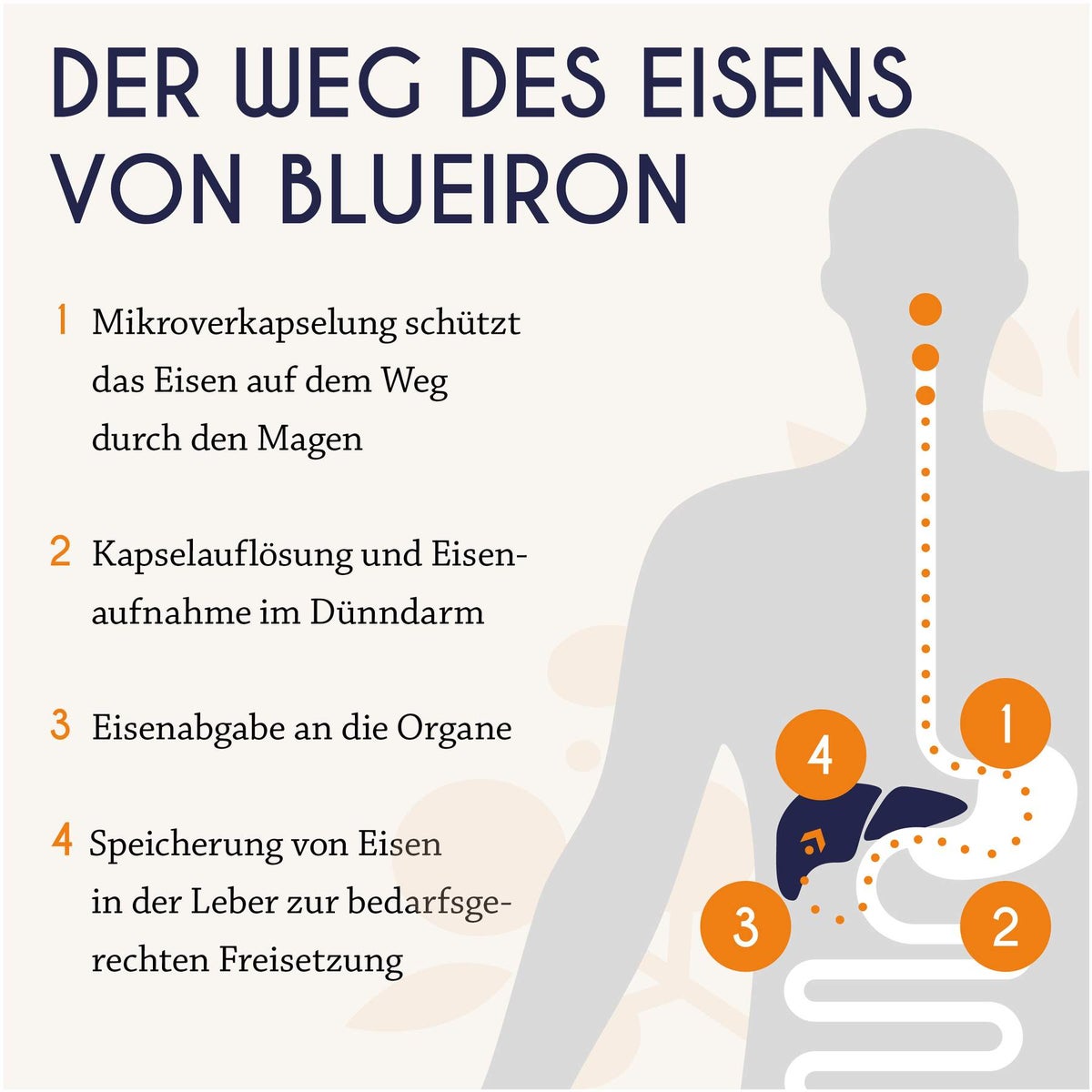 Blueiron Eisenkapseln 60 Stück