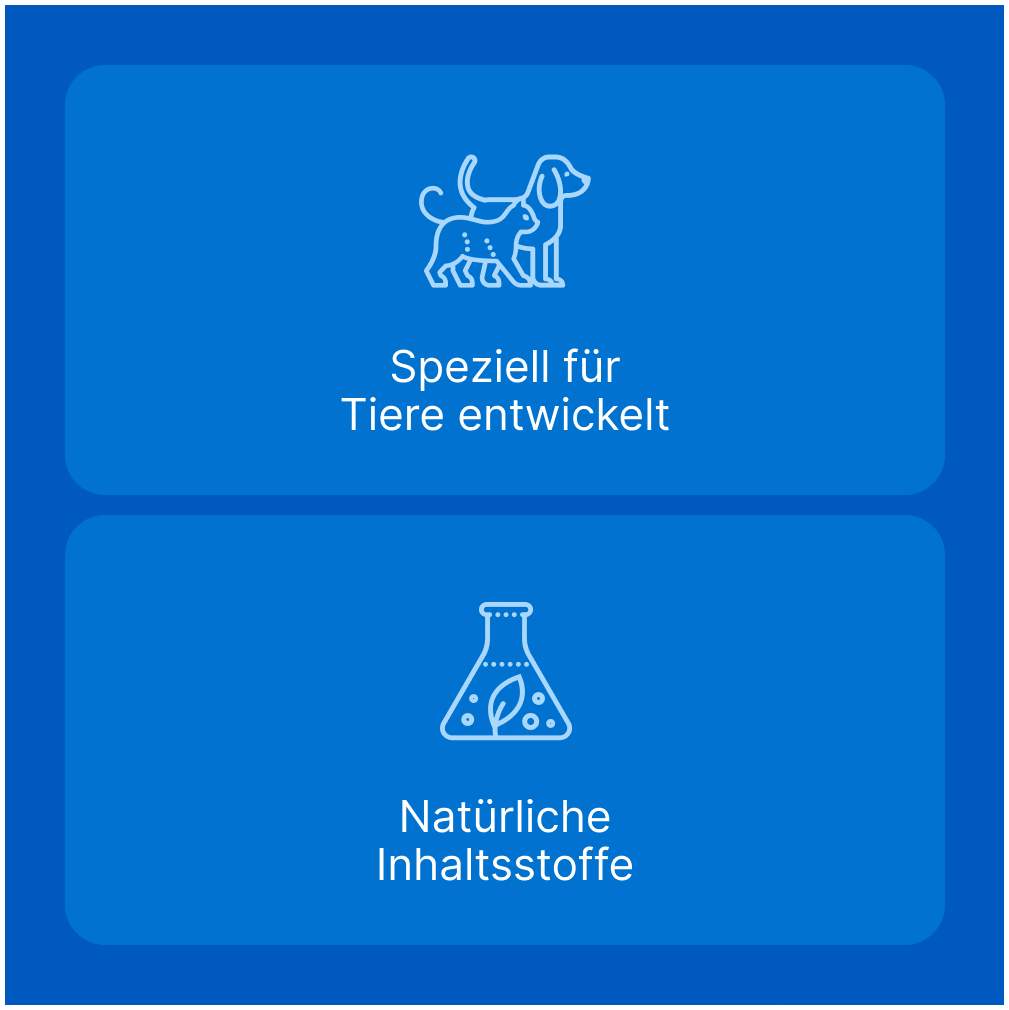 Traumeel T Vet. 100 Tabletten