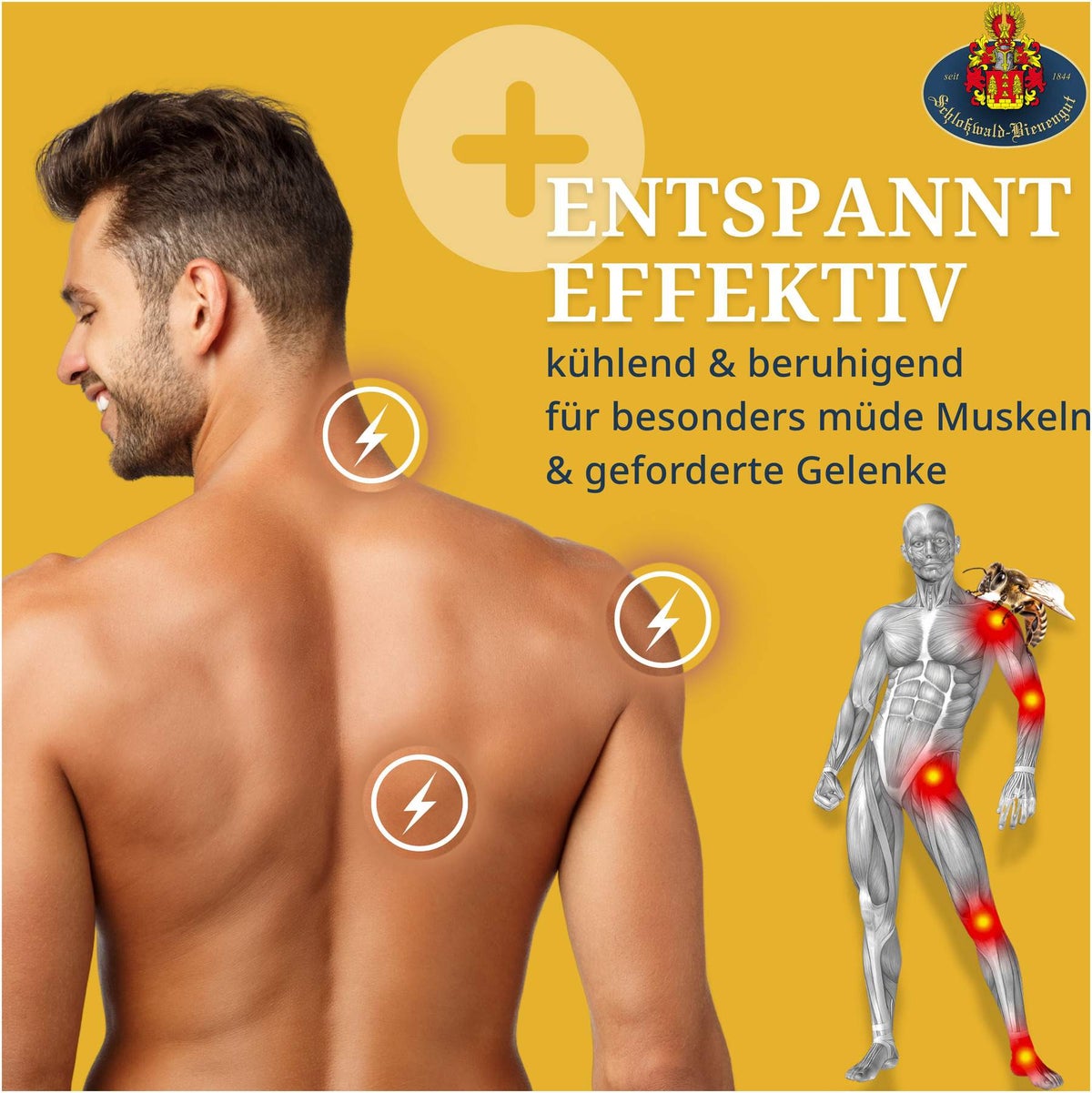 Bienengift - Salbe Api Regent die Echte 50 ml