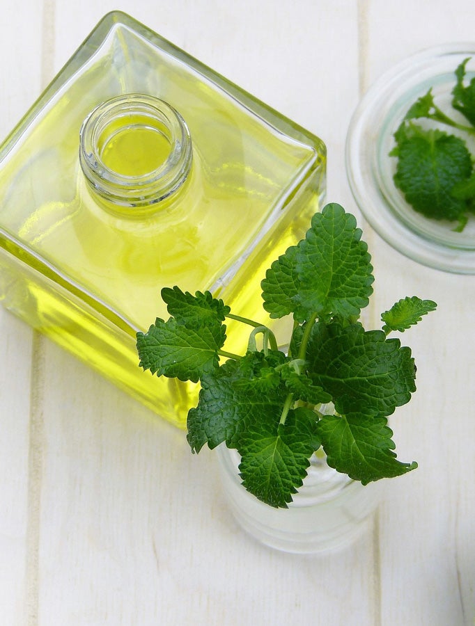 Pfefferminzöl gilt als Hausmittel gegen Sinusitis Pfefferminzölfläschchen mit Pfefferminzpflanze im Glas