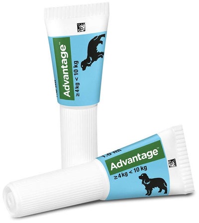 Advantage 100 Lösung für Hunde 4 - 10 kg 4 Einzeldosispipetten
