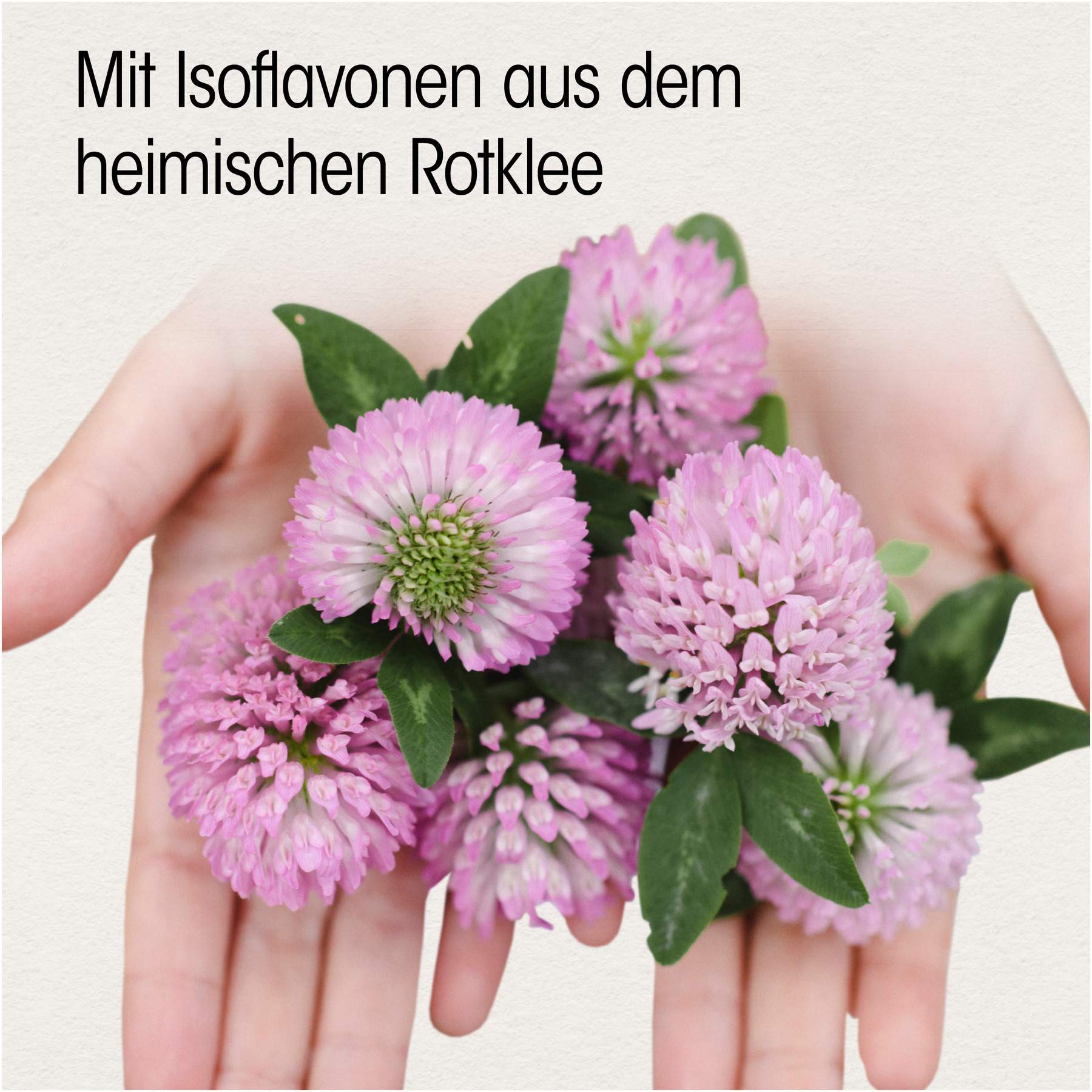 Isoflavon 90 mg Dr. Böhm 60 Dragees
