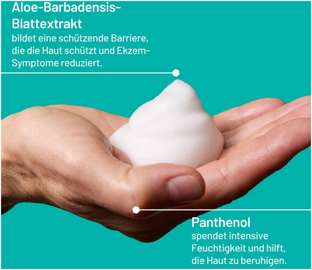 Locobase Anti-Juckreiz Schaum 100 ml
