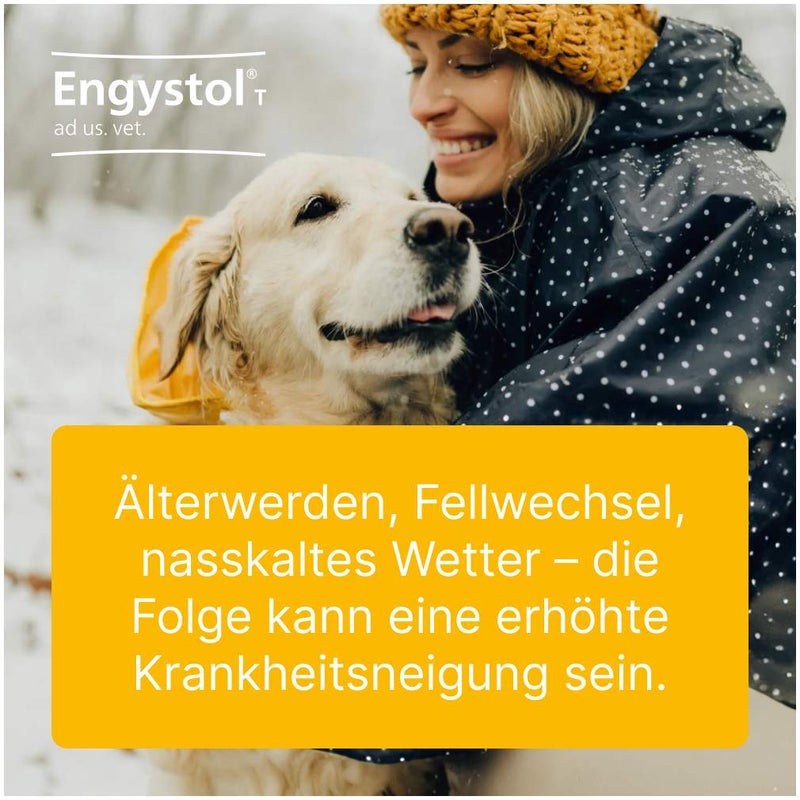 Engystol T Ad Us. vet. 100 Tabletten