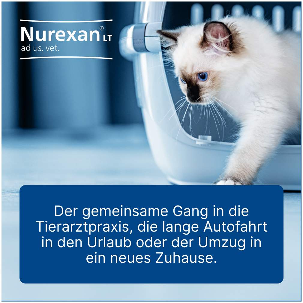 Nurexan Lt Ad Us.Vet. 100 Tabletten
