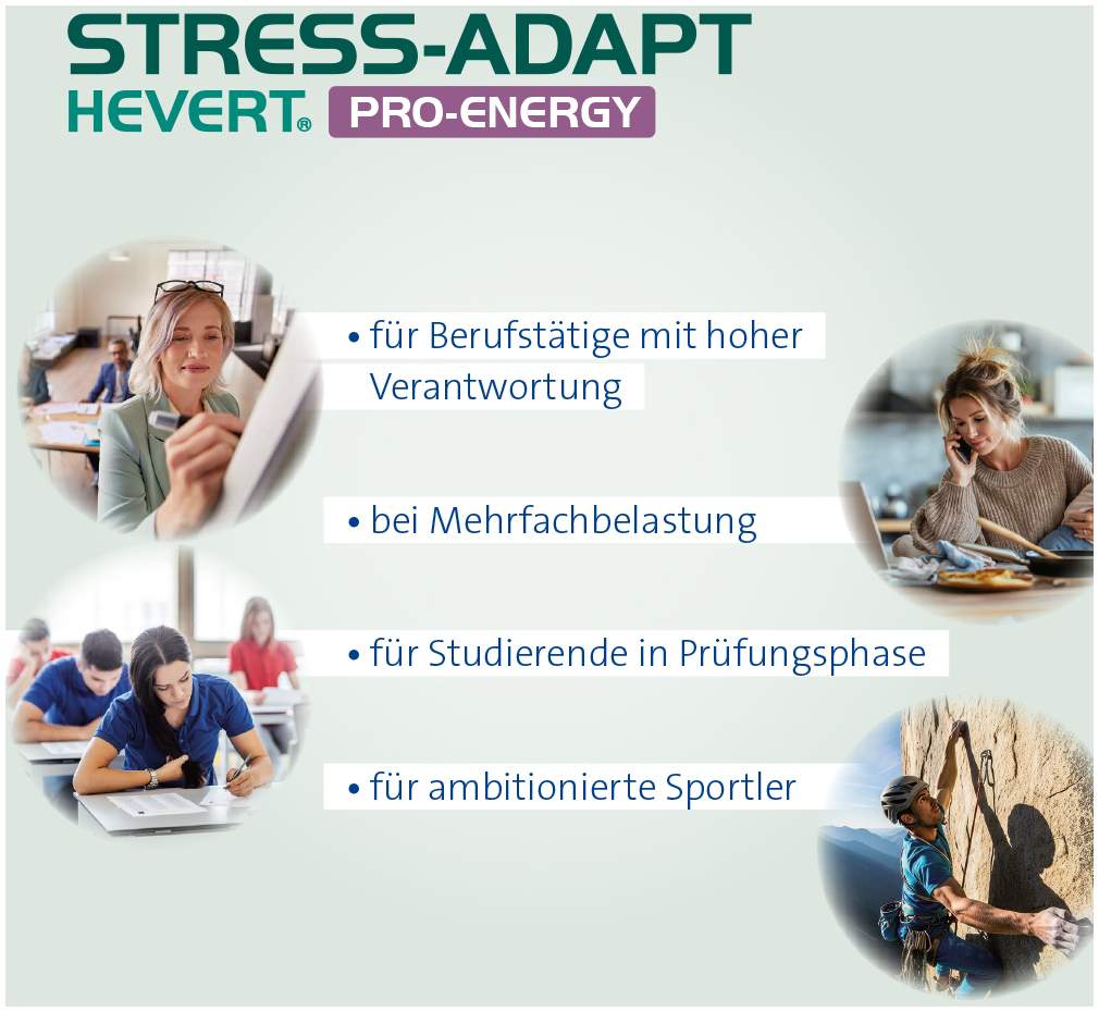 Stress-Adapt Hevert Pro-Energy Kapseln 60 Stück