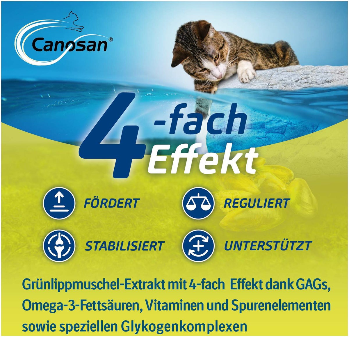 Canosan Für Katzen 30 Kautabletten