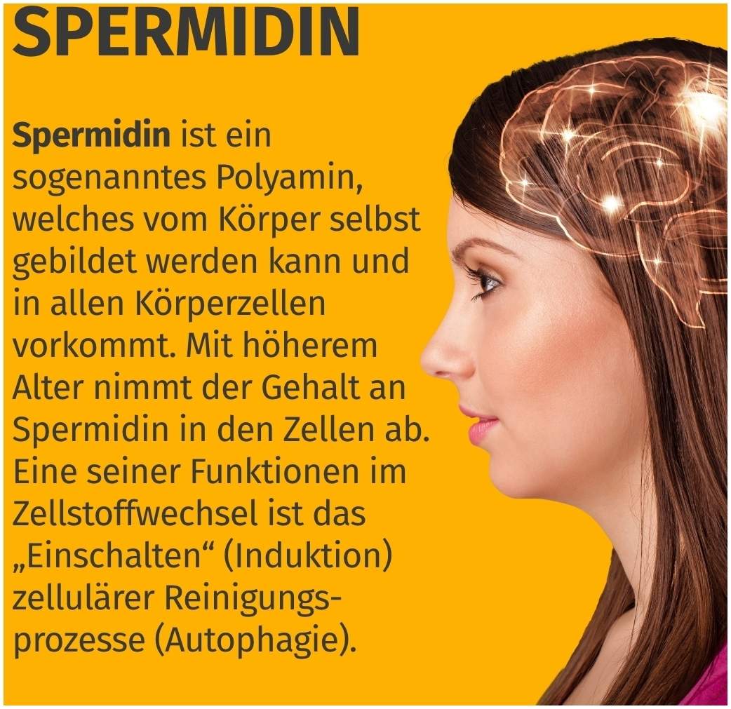 Green Naturals Spermidin Forte 5,5 mg 90 Kapseln