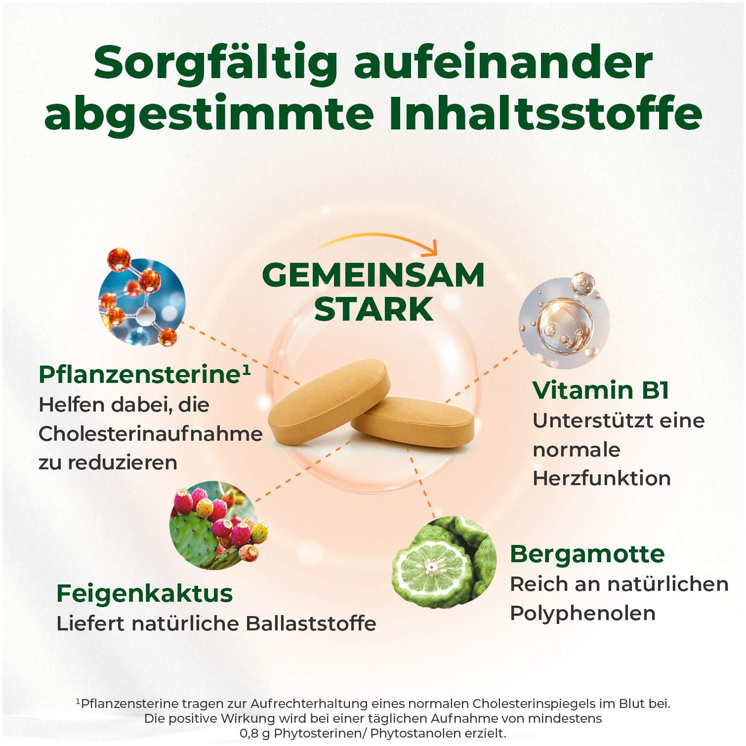 Armolipid Cholesterin Plus 90 Tabletten