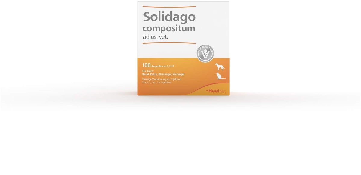 Solidago Compositum 100 Ampullen vet.