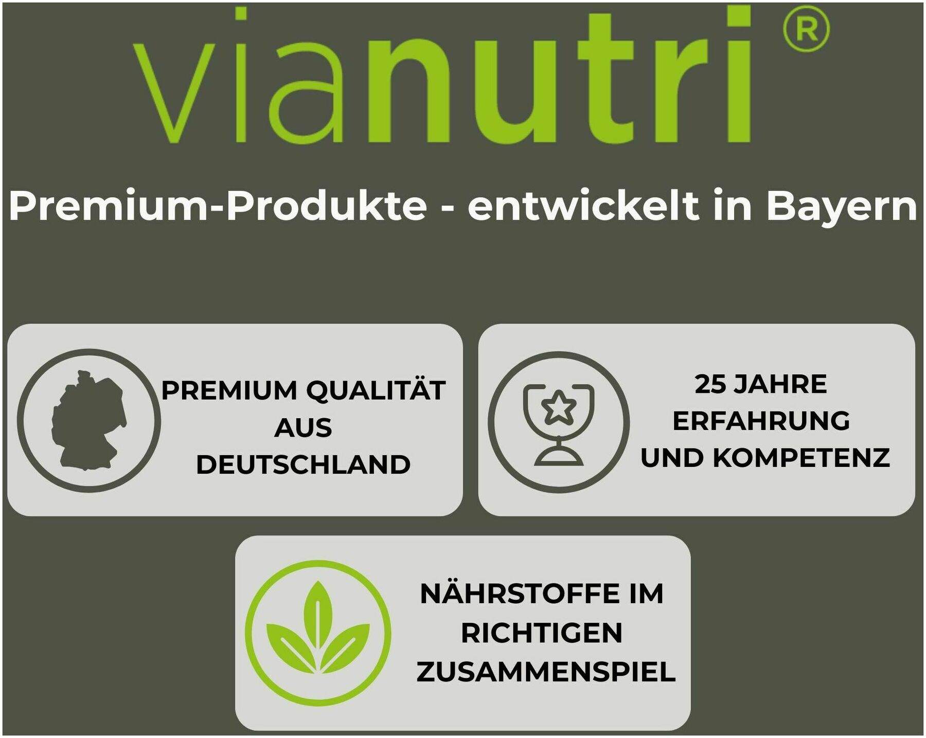 Vitamineral 31 Plus 30 Granulat