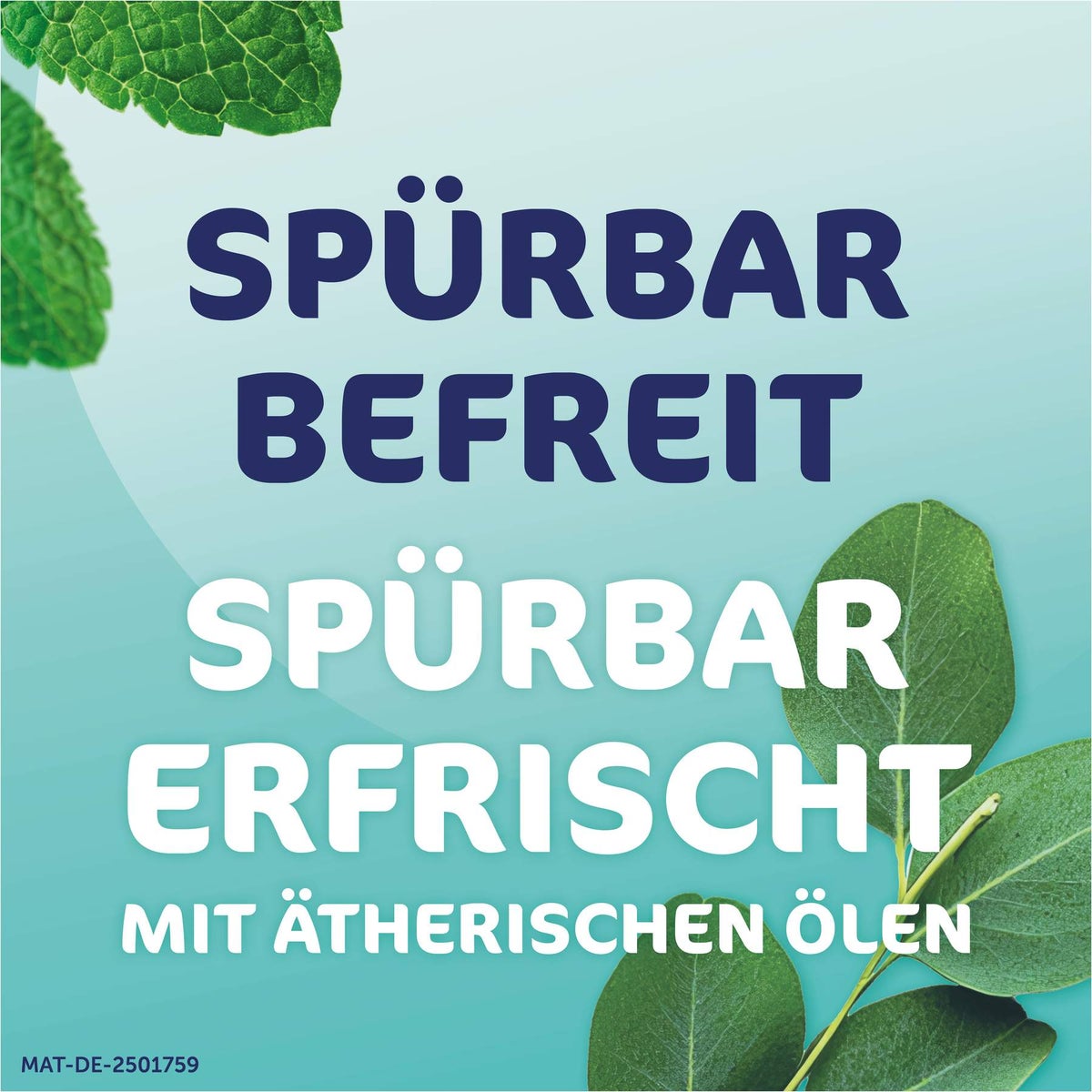Rhinospray Plus bei Schnupfen mit Feindosierer 10 ml