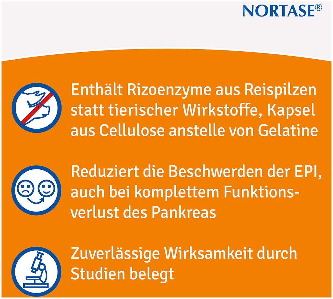 Nortase 50 Kapseln
