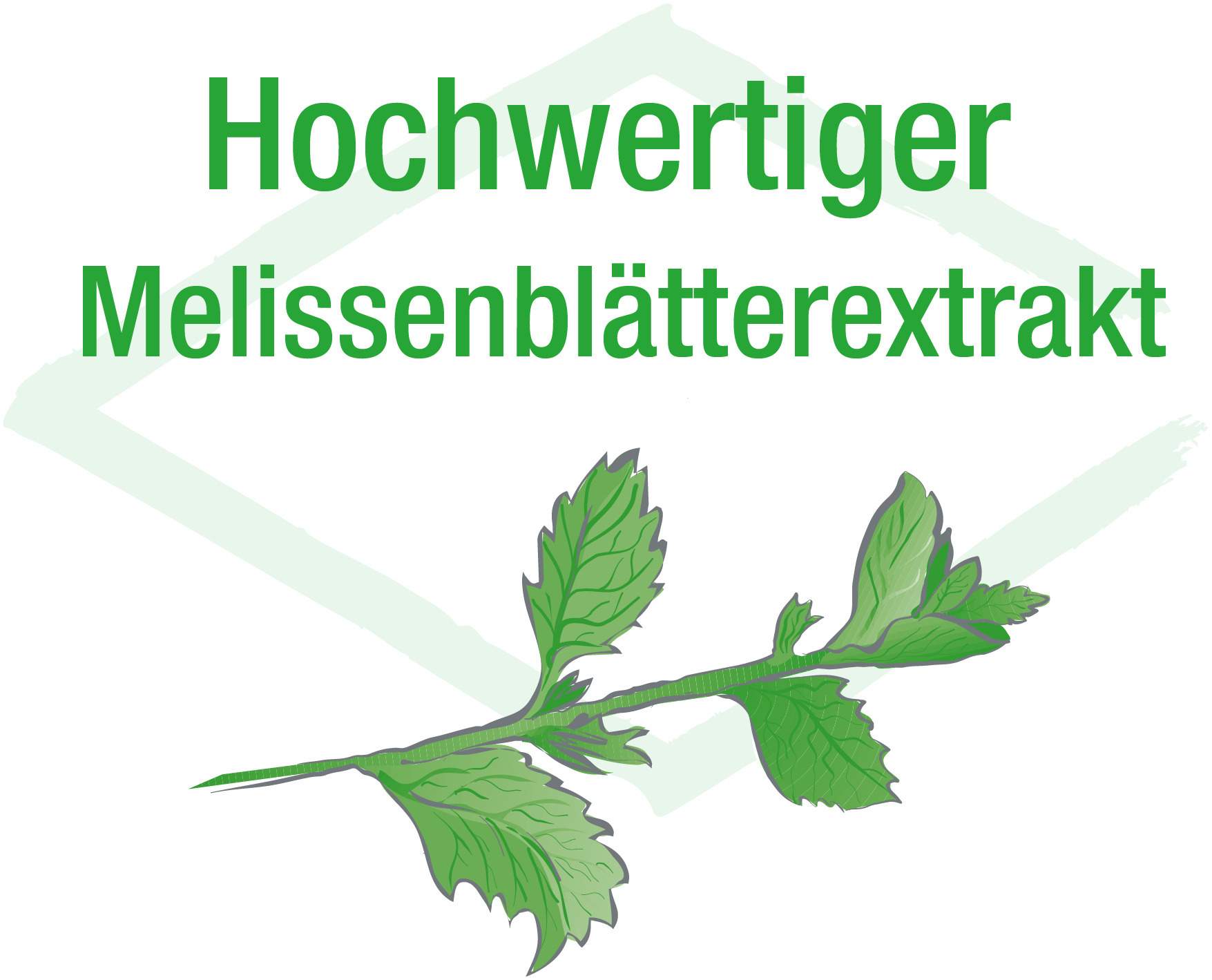 Gastrovegetalin 50 ml Lösung