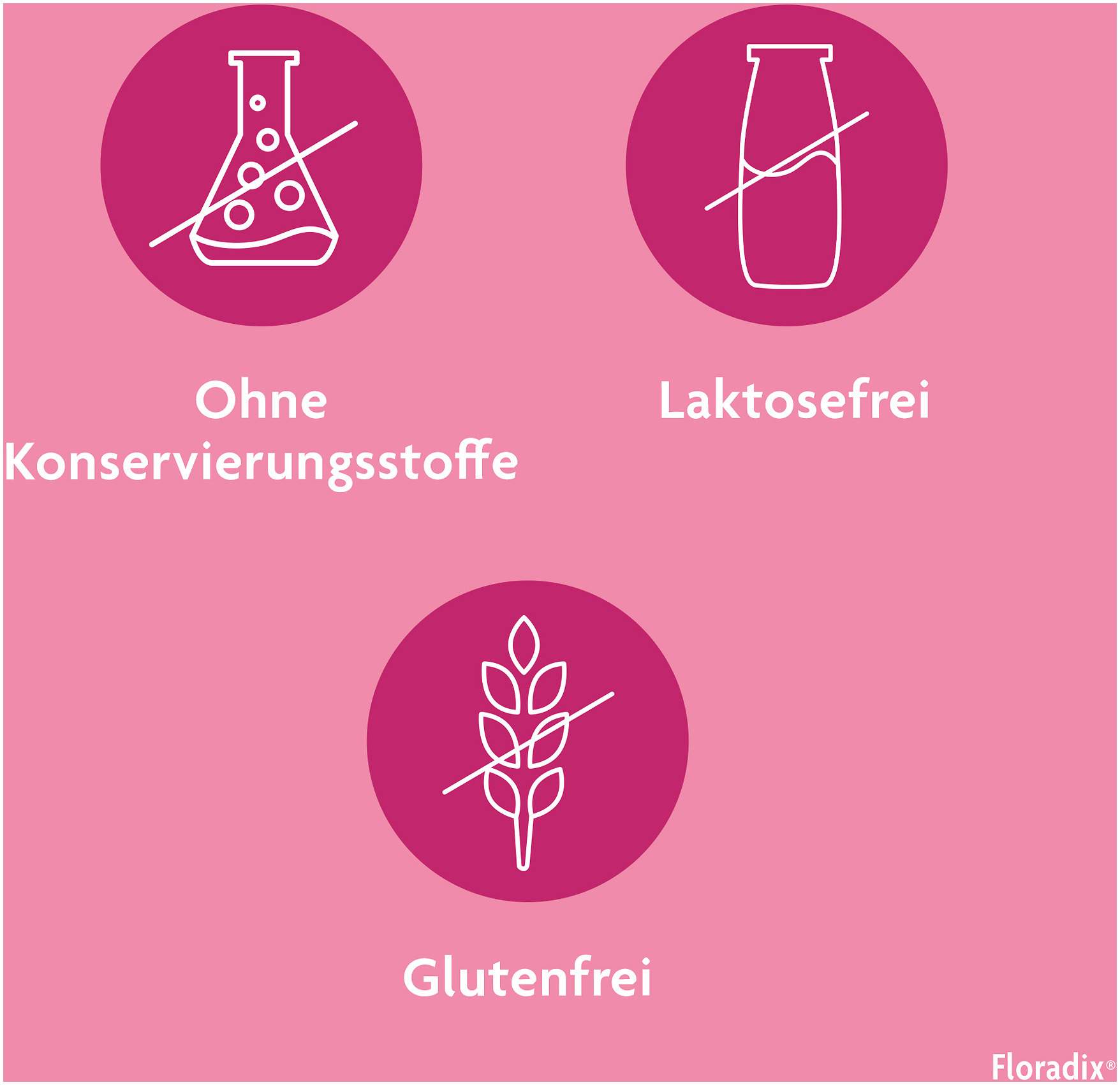 Floradix Eisen Folsäure Tabletten 84 Stück