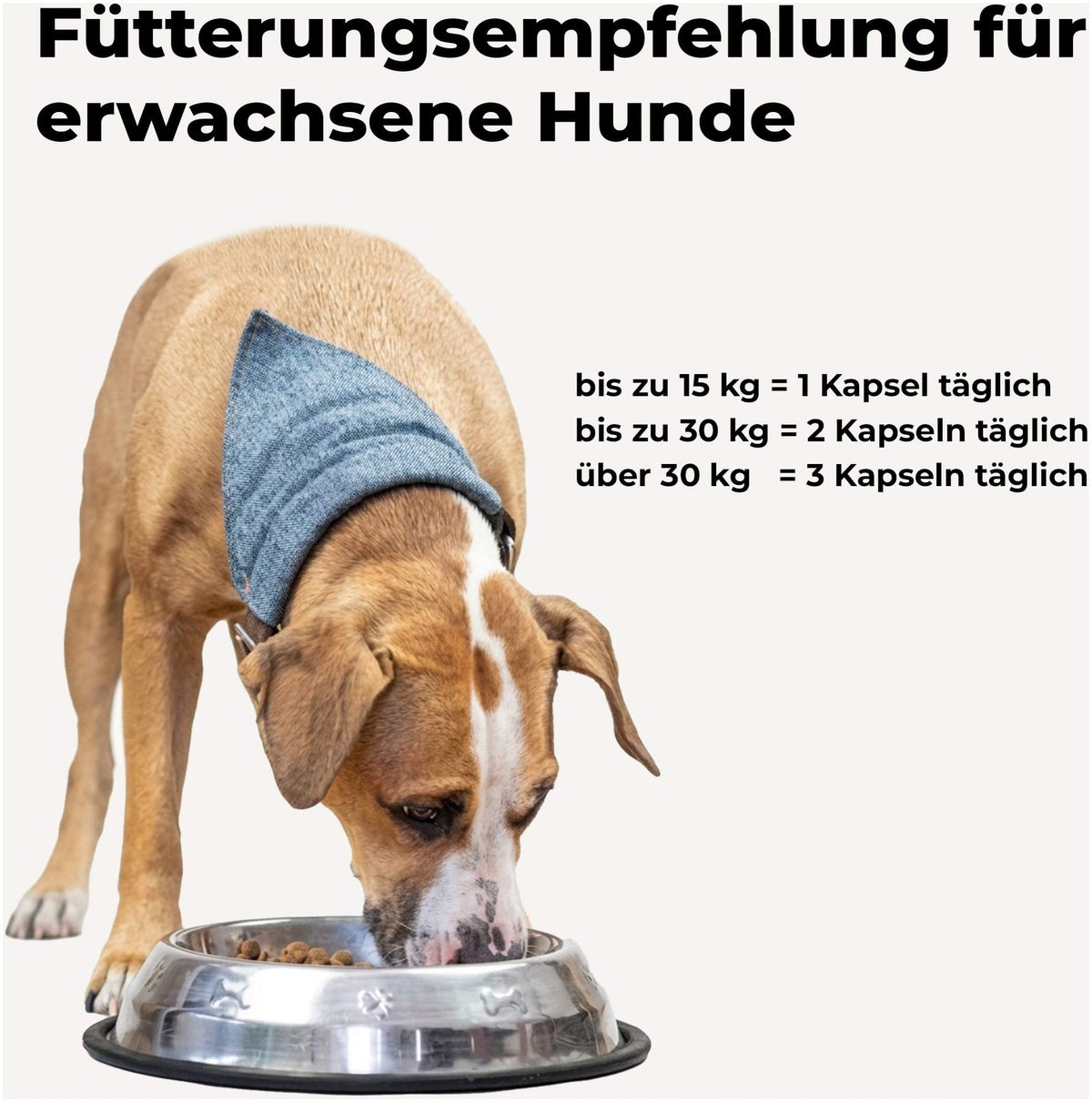 Glucosamin + Chondroitin Für Hunde 120 Kapseln