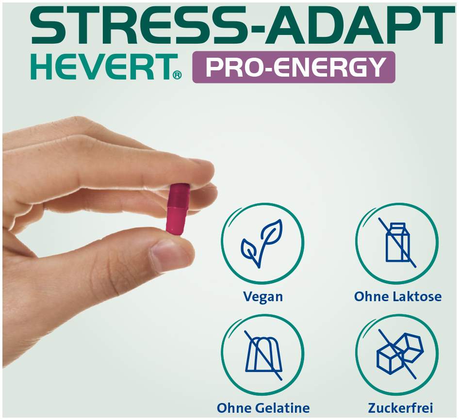 Stress-Adapt Hevert Pro-Energy Kapseln 120 Stück