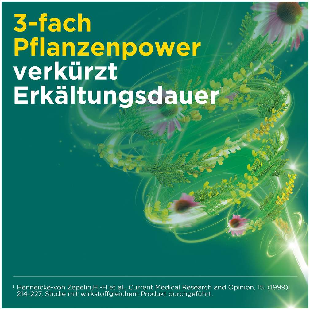 Meditonsin Extract Junior pflanzliche Erkältungstabletten 60 Stück