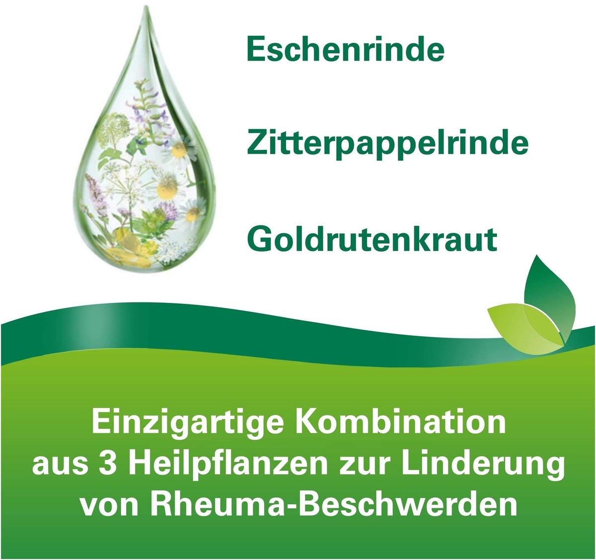 Phytodolor 100 ml Tinktur