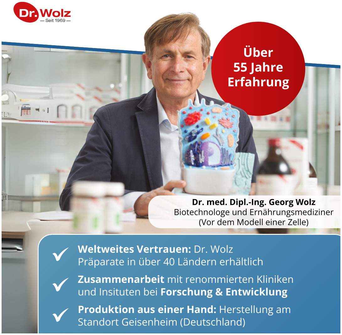 Darm Activ Dr.Wolz 400 G Pulver