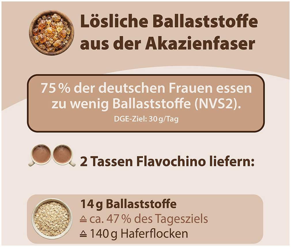 Flavochino Dr.Jacob s 450 G Pulver