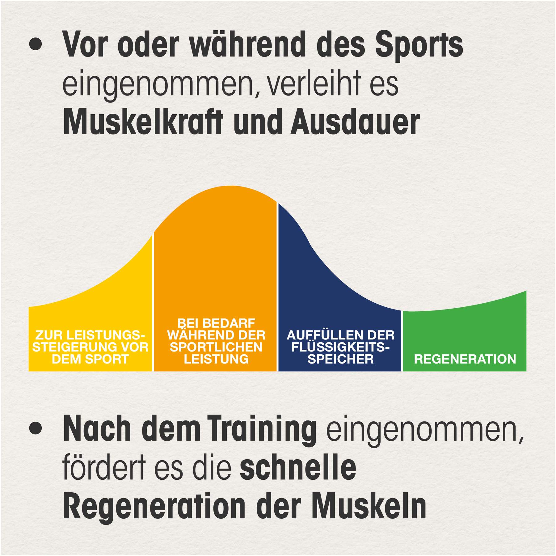 Dr. Böhm Magnesium Sport + Aminosäuren 14 Stück