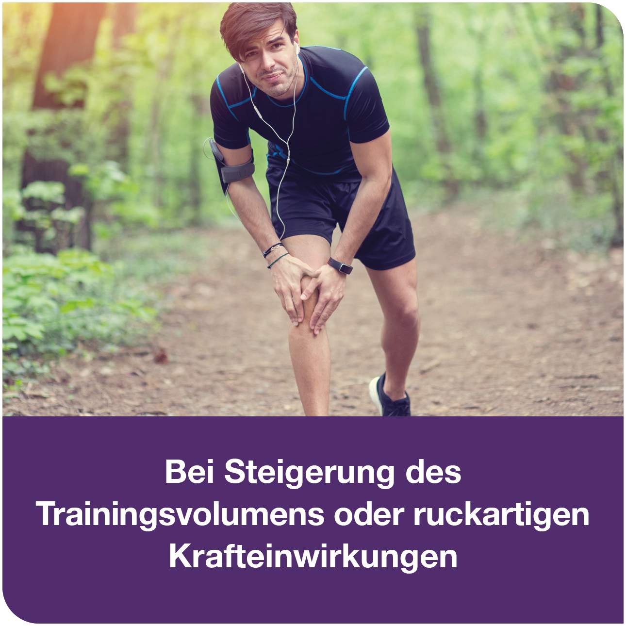 Tendologes Für Sehnen und Bänder 45 Sticks