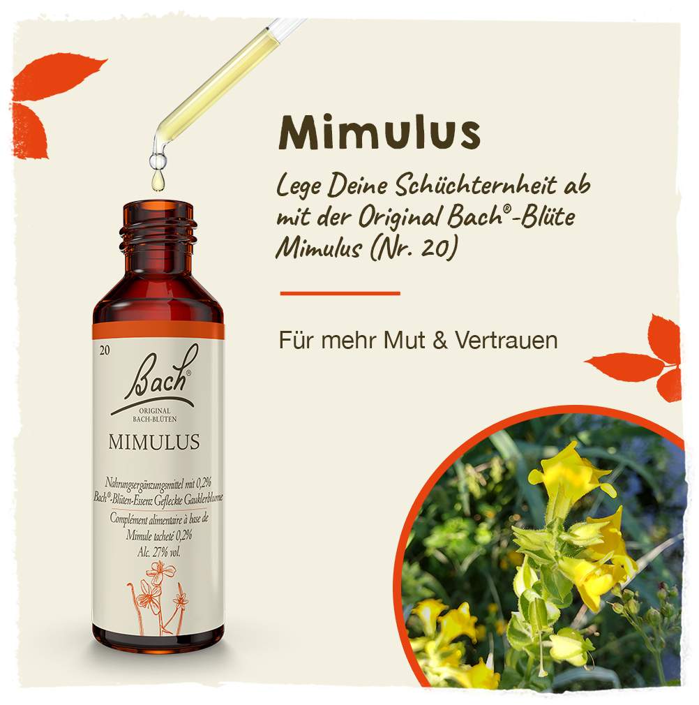 Bachblüten Mimulus