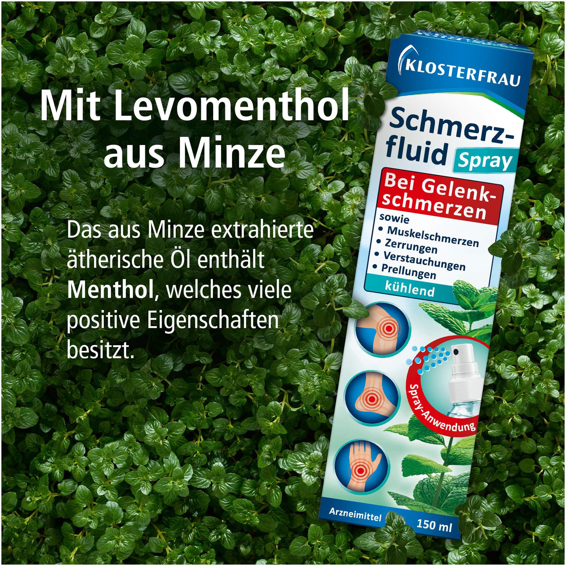 Klosterfrau Schmerzfluid 150 ml Spray