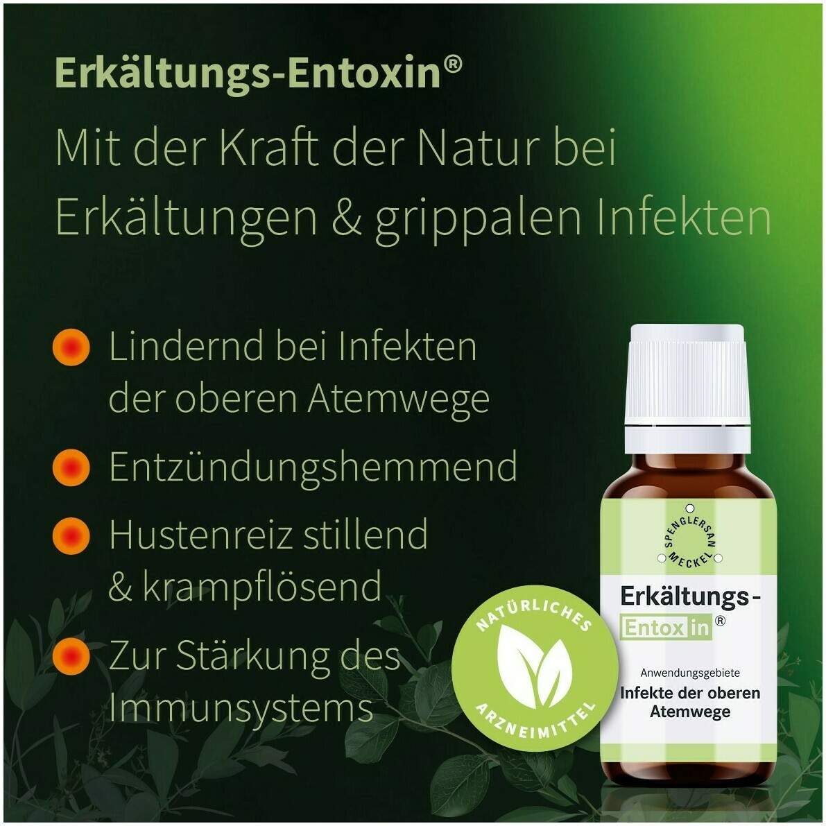 Erkältungs Entoxin 100 ml Tropfen