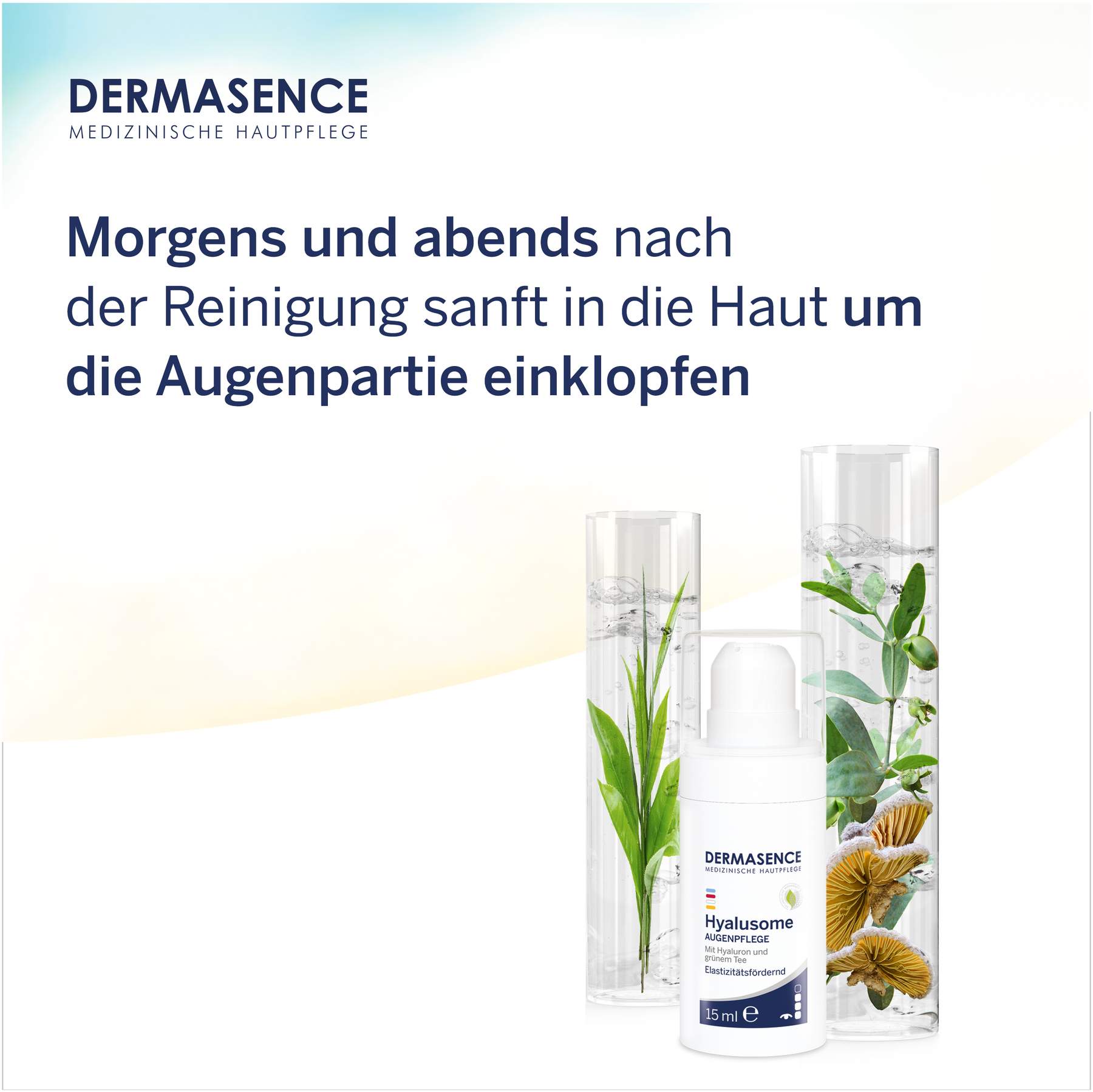 Dermasence Hyalusome Augenpflege 15 ml