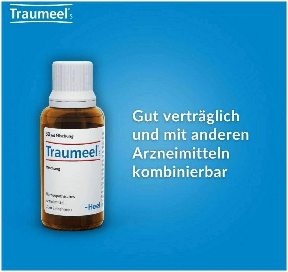Traumeel S Tropfen 100ml