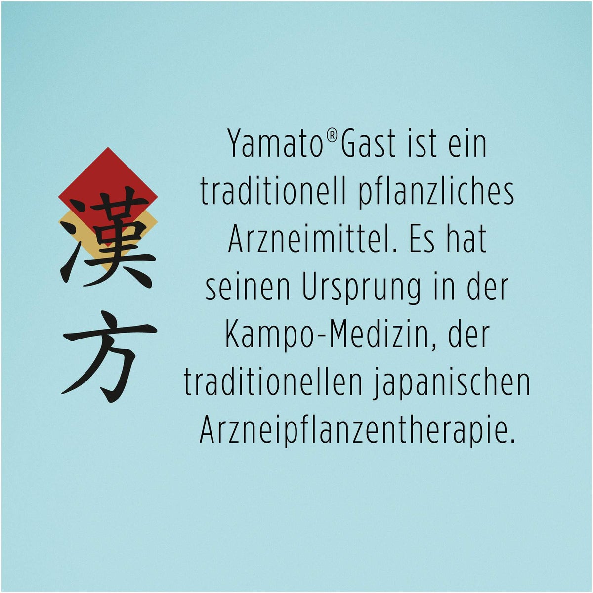 Yamato Gast 265 mg 63 Filmtabletten