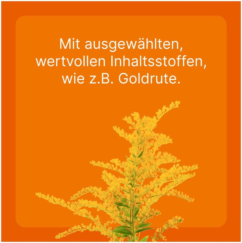 Solidago Compositum 100 Ampullen vet.