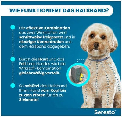 Seresto Halsband für kleine Hunde 1 Stück