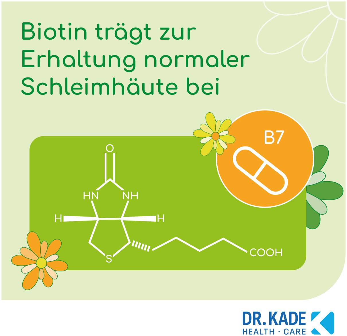Kadeflora Milchsäurebakterien mit Biotin 30 Kapseln