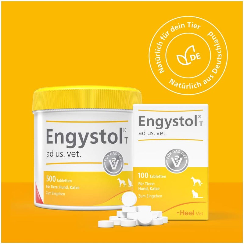 Engystol T Ad Us. vet. 100 Tabletten