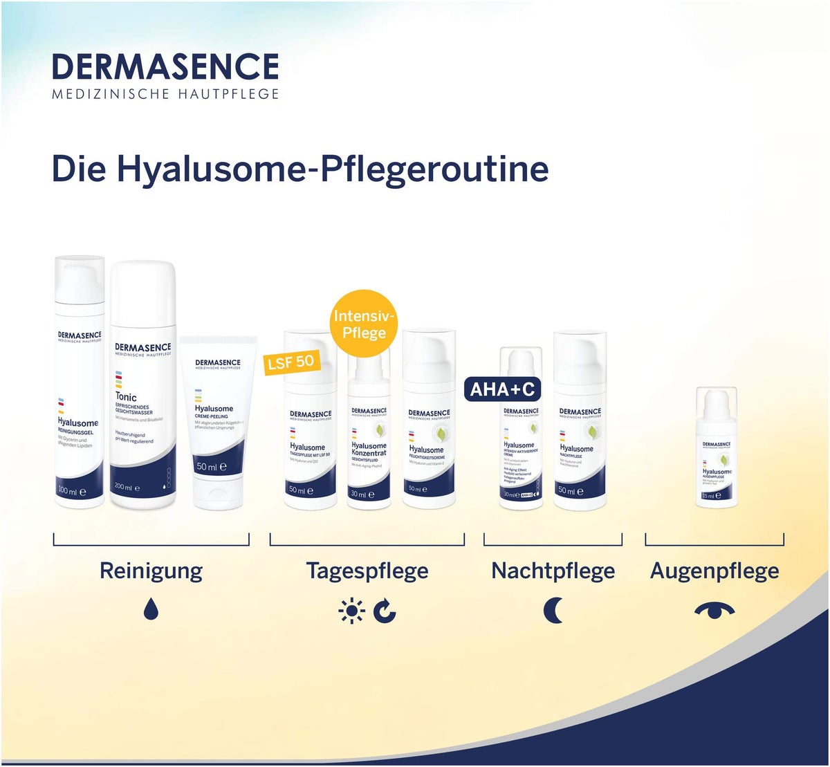 Dermasence Hyalusome Konzentrat 30 ml
