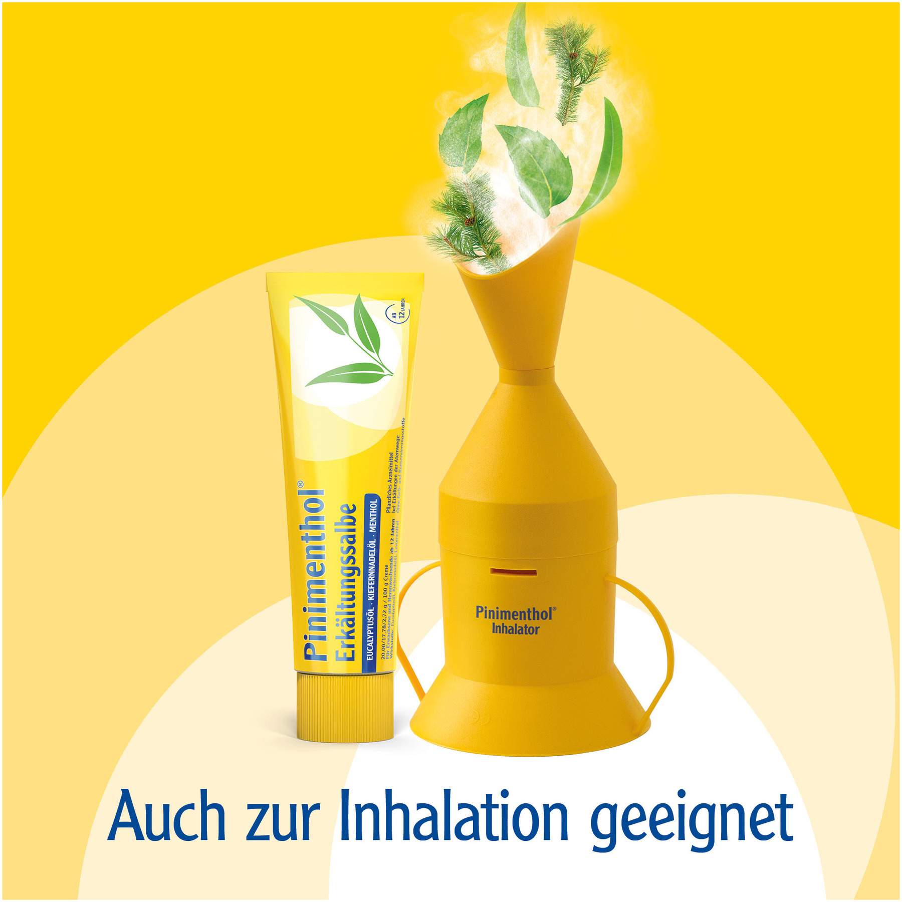 Pinimenthol Erkältungssalbe 50 g