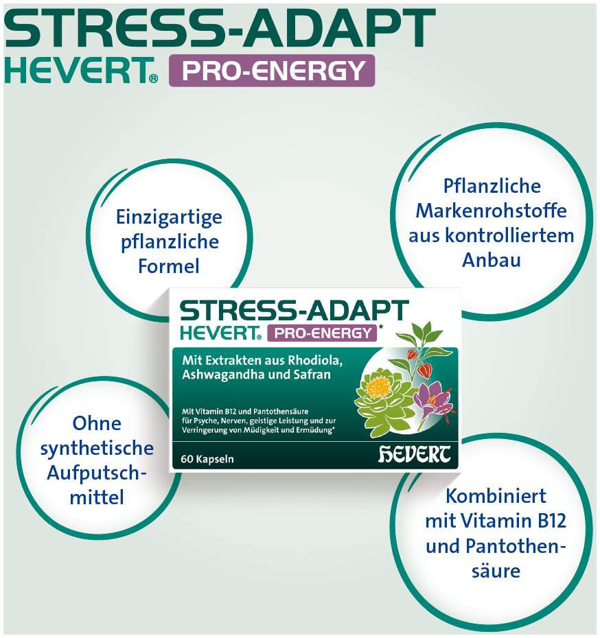 Stress-Adapt Hevert Pro-Energy Kapseln 60 Stück
