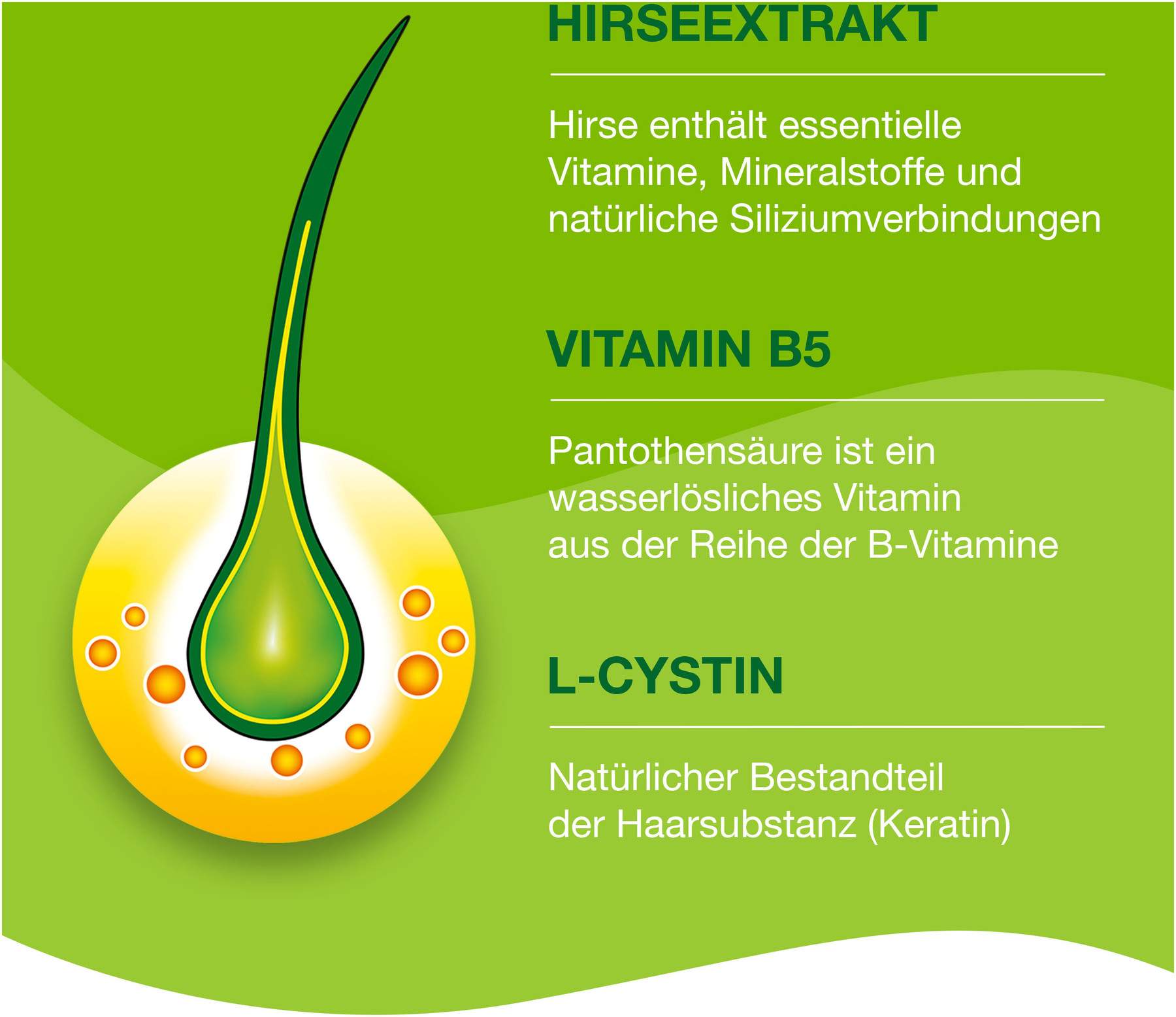 Priorin 120 Kapseln