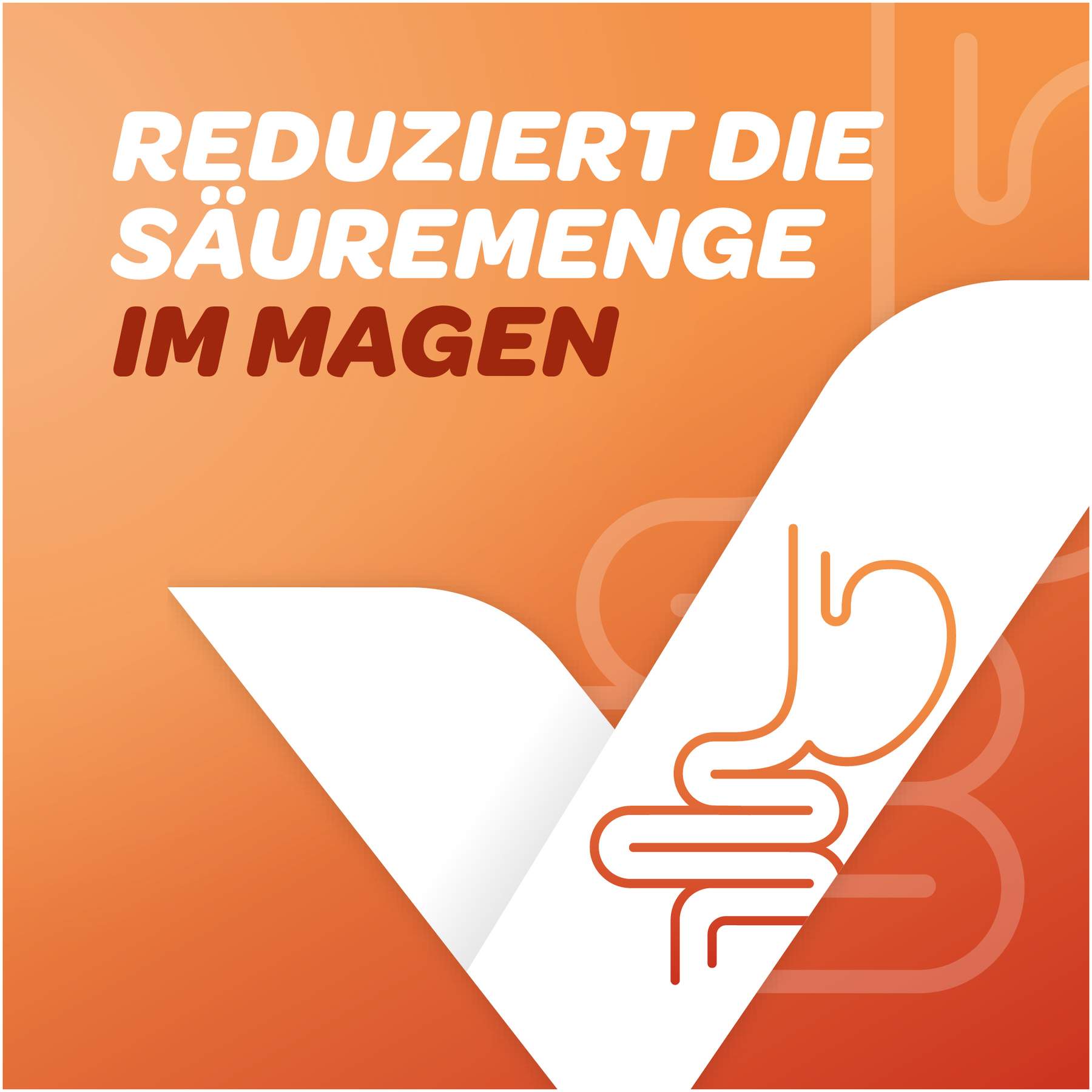 Panto Aristo bei Sodbrennen 20 mg 14 magensaftresistente Tabletten